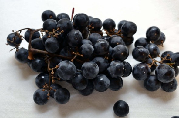 Grapes concord