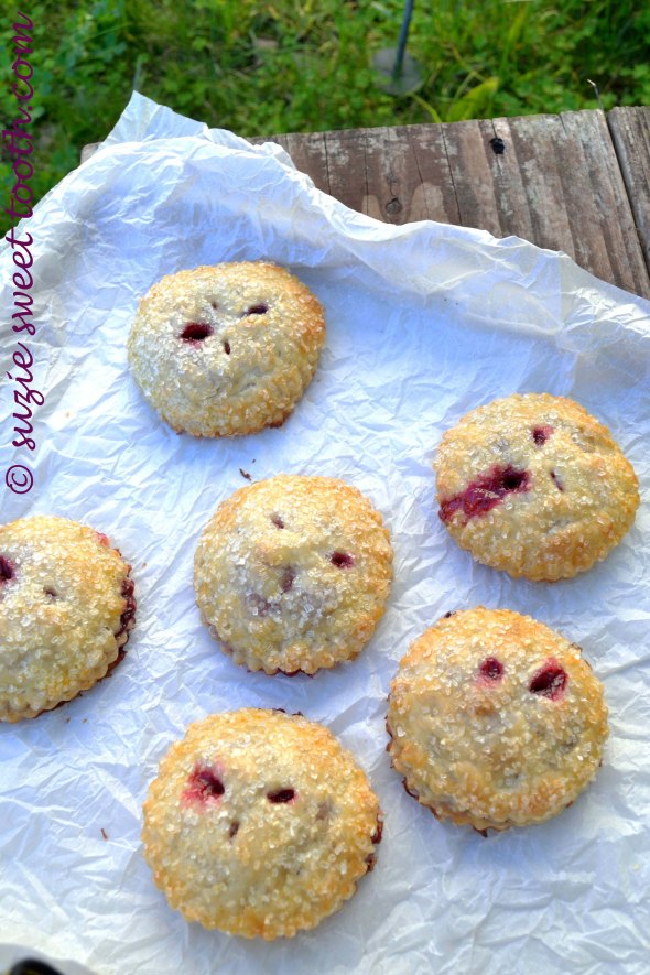 Blackberry-apple hand pies picnic