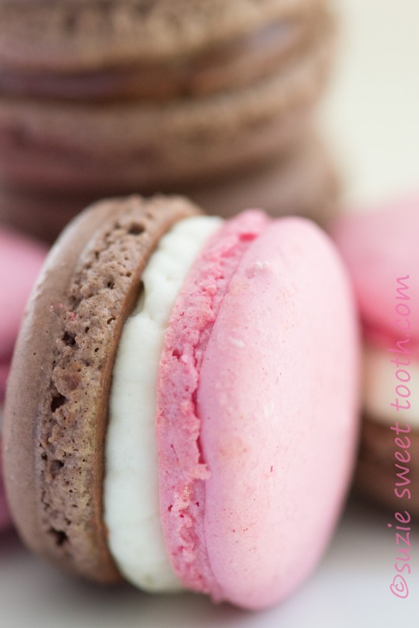 neapolitan macaron closeup