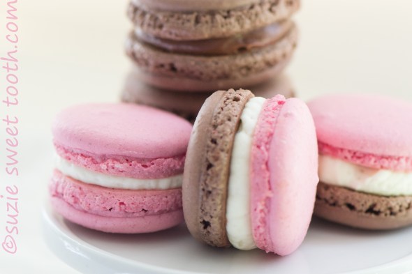 strawberry choc and neapolitan macs