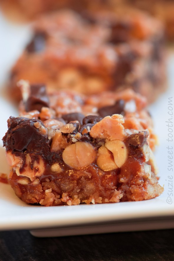 Tray of Everything Bars