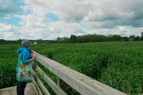 a look at the maze from above