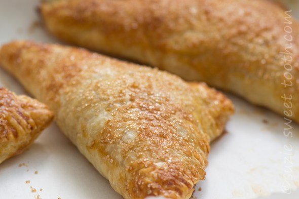 apple currant turnover
