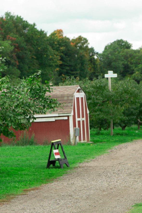barn at orchard