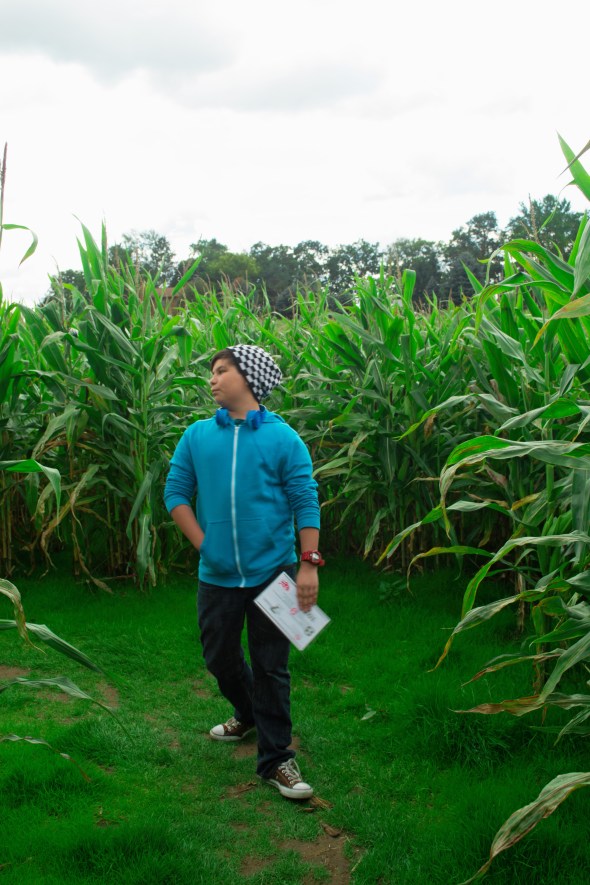 maybe I should have turned left