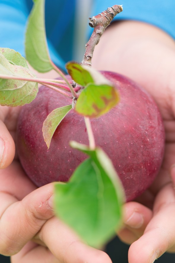 Seth holding apple