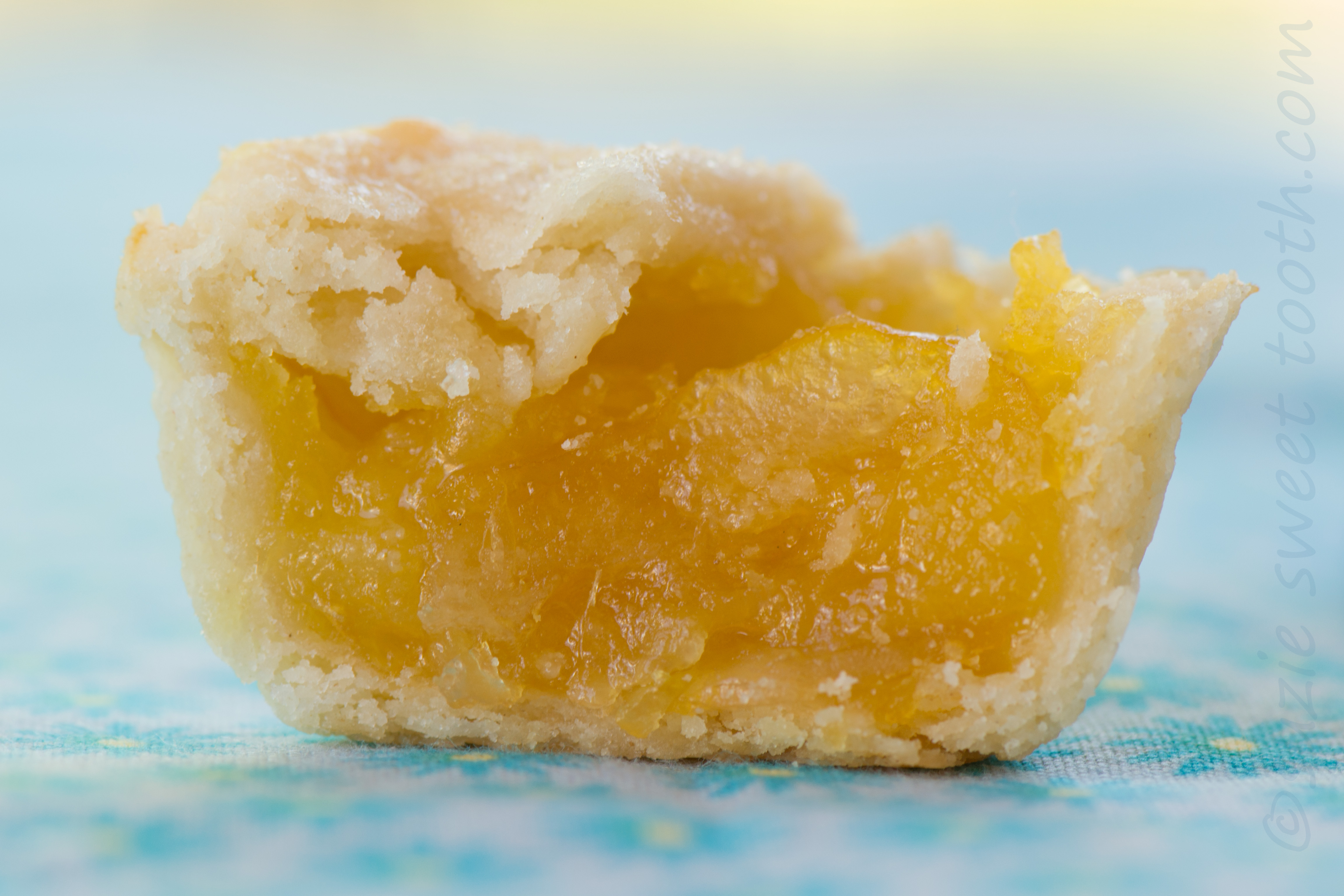 shaker lemon pie inside