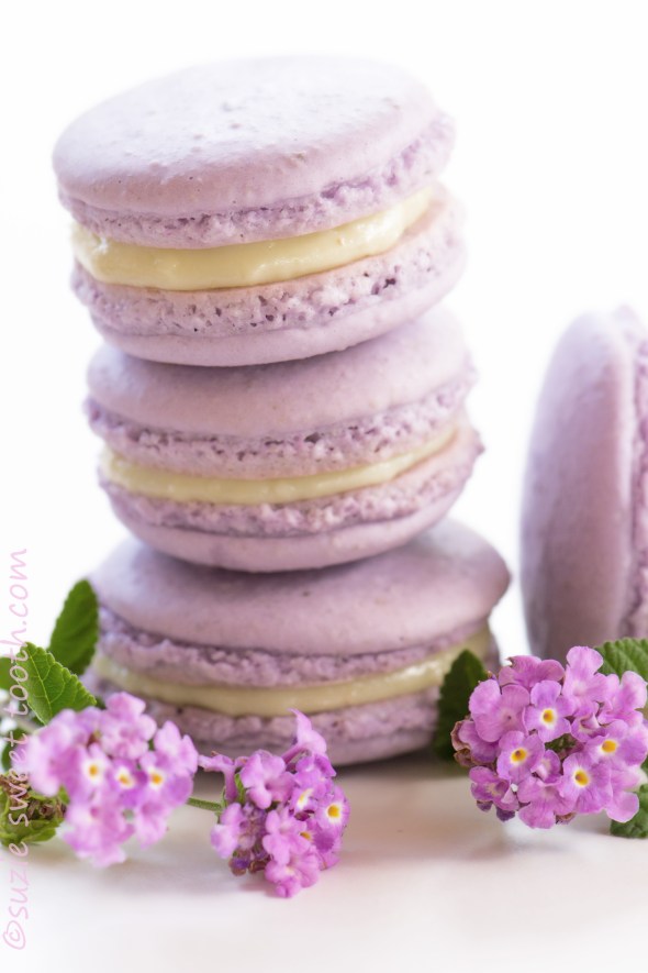 lavender macarons filled with lavender ganache