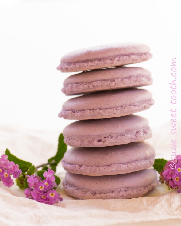 Lavender macarons with white chocolate lavender ganache