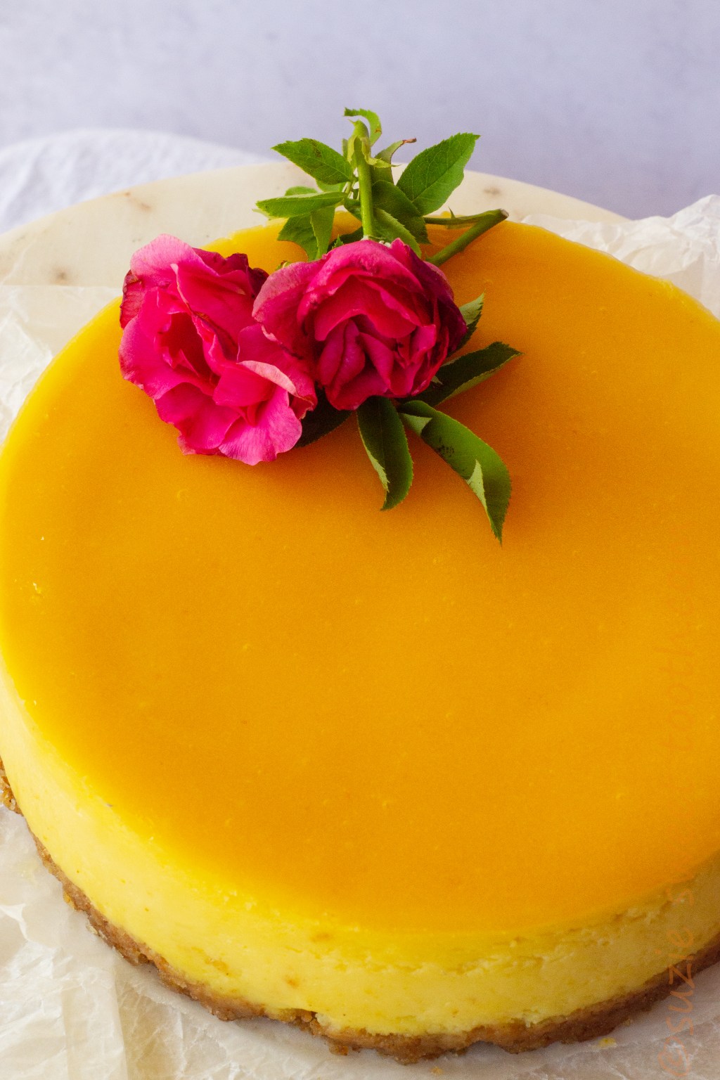 Passionfruit Cheesecake